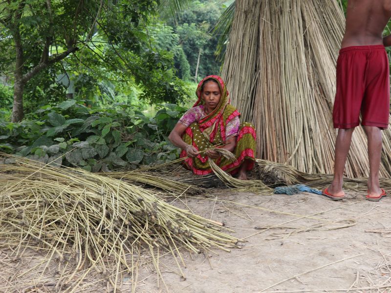 সুপরিকল্পিতভাবে বিগত সরকার পাটশিল্পকে ধ্বংস করেছে : কৃষি-শিল্প কমিটি